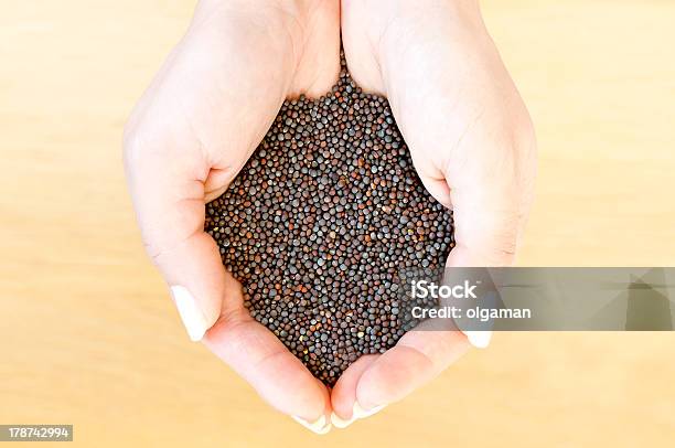 Mustard Seeds Stock Photo - Download Image Now - Adult, Agricultural Field, Aromatherapy