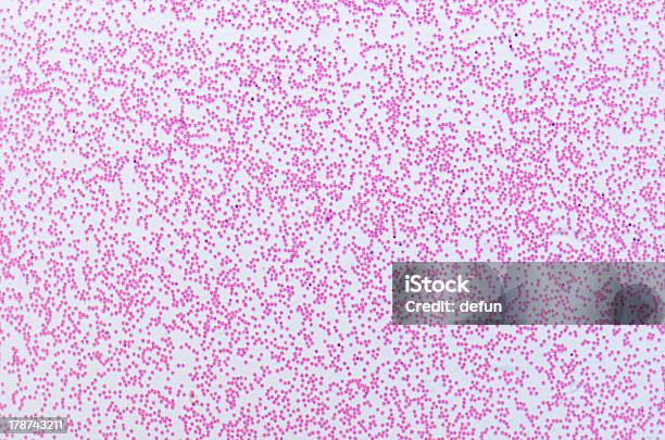 Le Cellule Del Sangue Umano - Fotografie stock e altre immagini di Biologia - Biologia, Campione di laboratorio, Cellula