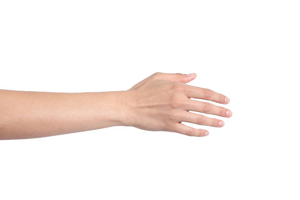 istock Woman hand ready for handshaking 178743726