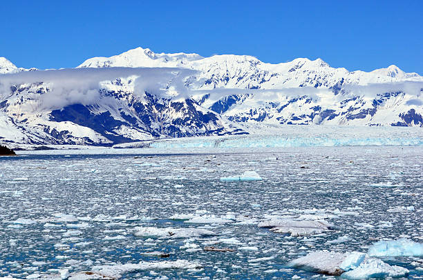 istock Hubbard Glacier in the Distance 178743779
