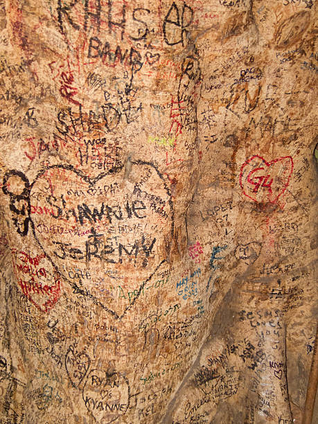 istock Graffiti Tree in the Honolulu International Market 178743901