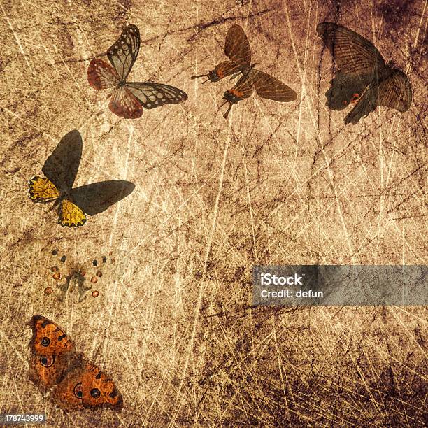 Schmetterling Holz Grunge Hintergrund Stockfoto und mehr Bilder von Abstrakt - Abstrakt, Altertümlich, Alterungsprozess