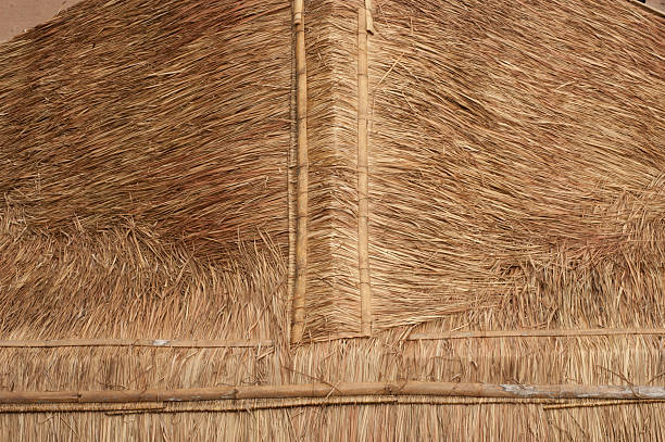 istock Roof leaves. 178744370