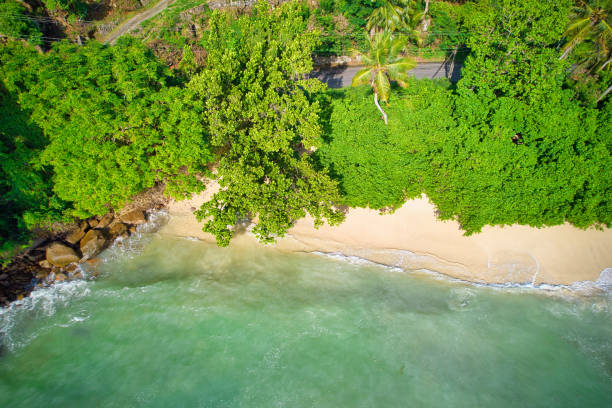 istock Drone of beautiful white sandy beach, granite stone and plants 1787449018