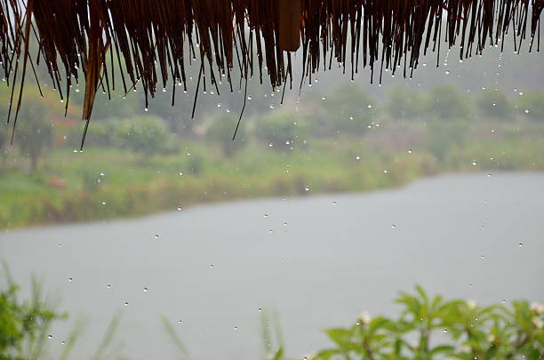 istock Rain drop on a wood house 178745278