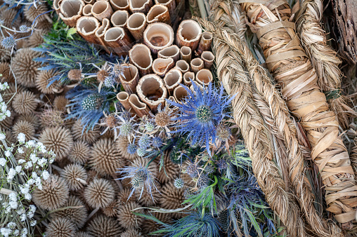 Mixed flowers backdrop. Floral background of echinops, eryngium and braids from dry plants in natural hues.