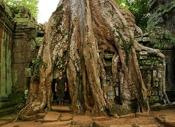 istock Runs of ancient Cambodian temple 178745305