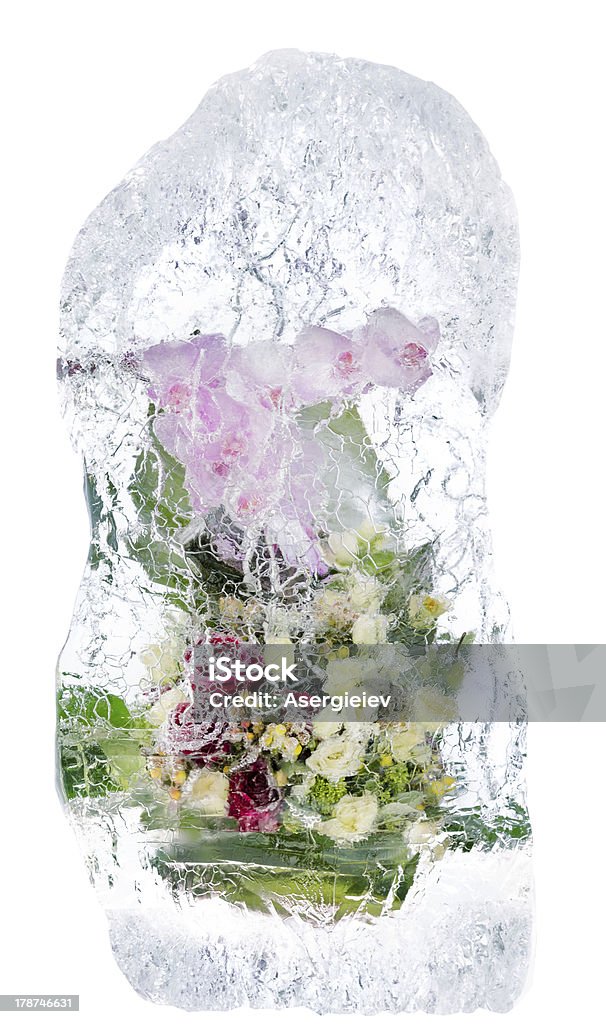 Délicates bouquet de fleurs dans la glace - Photo de Arbre en fleurs libre de droits