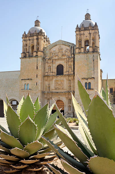 istock Mexican church and maguey 178747730