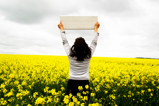 A woman holding a blank sign in a field of flowering rape-seed.