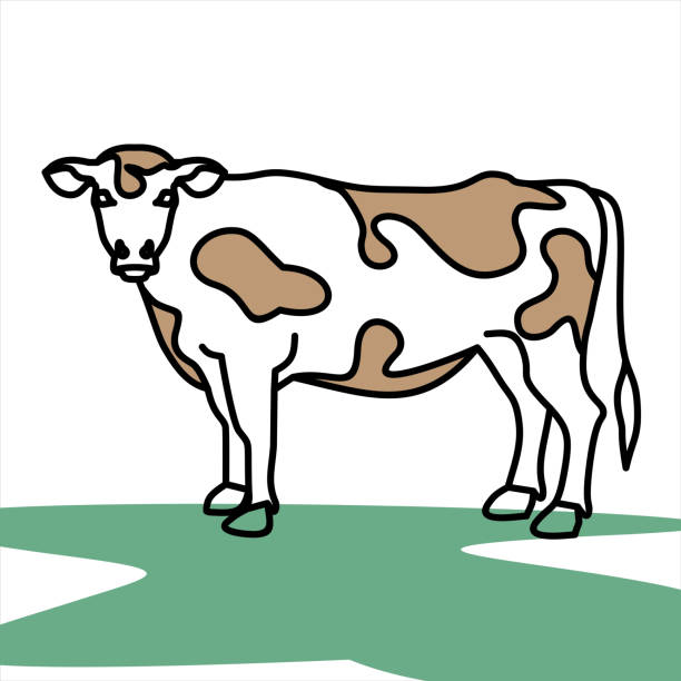 illustrazioni stock, clip art, cartoni animati e icone di tendenza di mucca, icona della linea di animali da fattoria. semplice illustrazione vettoriale del logo per grafica e web design. - 2605