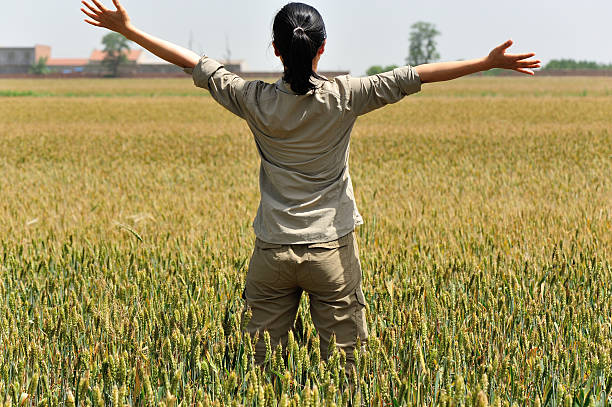 istock woman happy wheat field 178749071