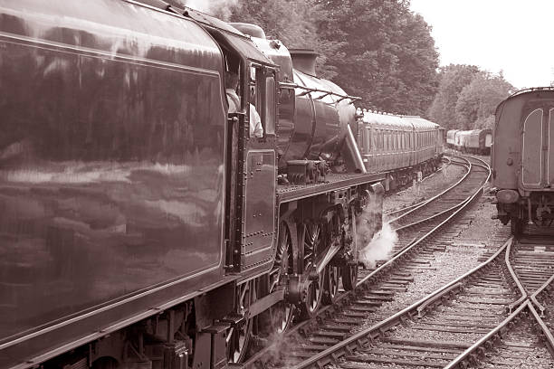 istock Stream Train in Black and White Sepia Tone 178749096