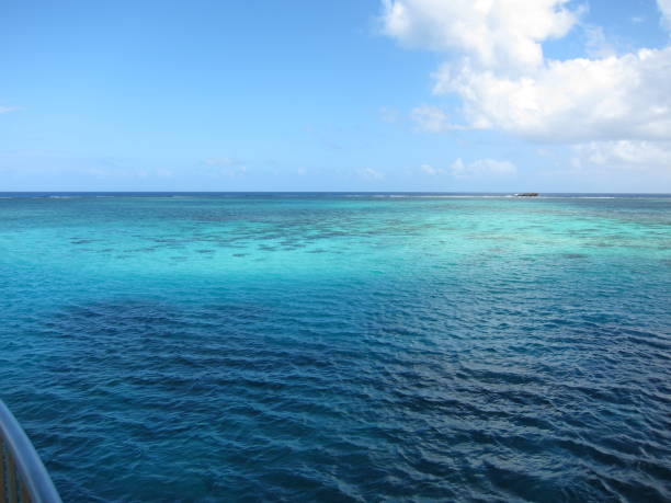 istock [Guam] Coral reef of Cocos Island 1787501000