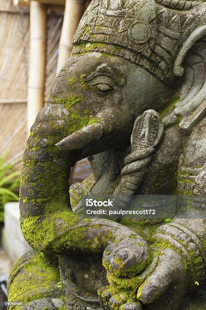 Ganesh - Foto de stock de Animal libre de derechos