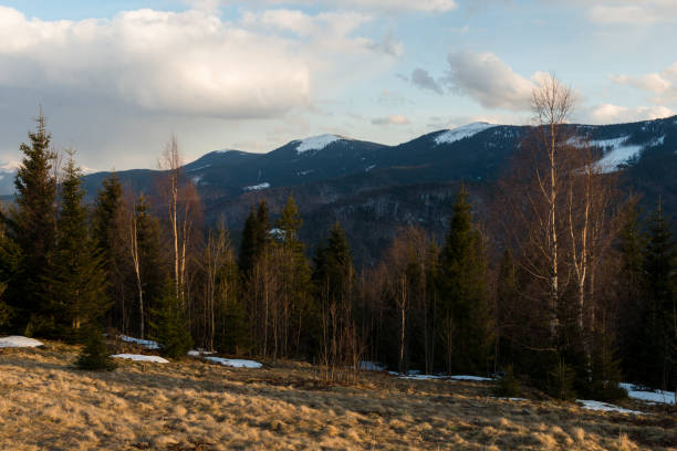 Early spring landscape in a very wild place near Arshytsya ridge in Gorgany mountain range of Carpathian Mountains, Ukraine