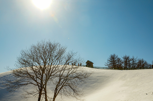 winter snow mountain (korea)