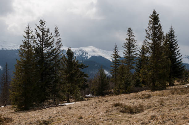 istock Early spring landscape in a very wild place, Carpathian Mountains 1787511685