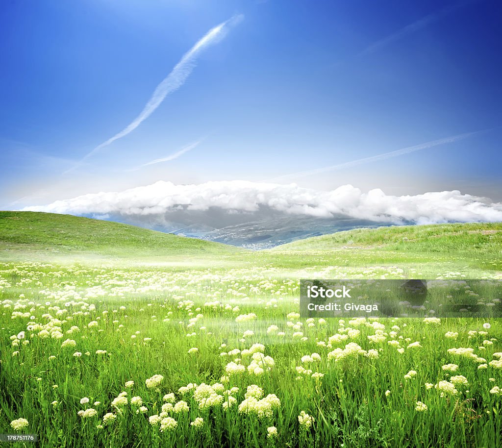 Дикая Весенние цветов - Стоковые фото Без людей роялти-фри