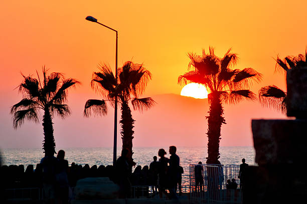 istock Silhouettes of tropical palm trees at sunset 178751615
