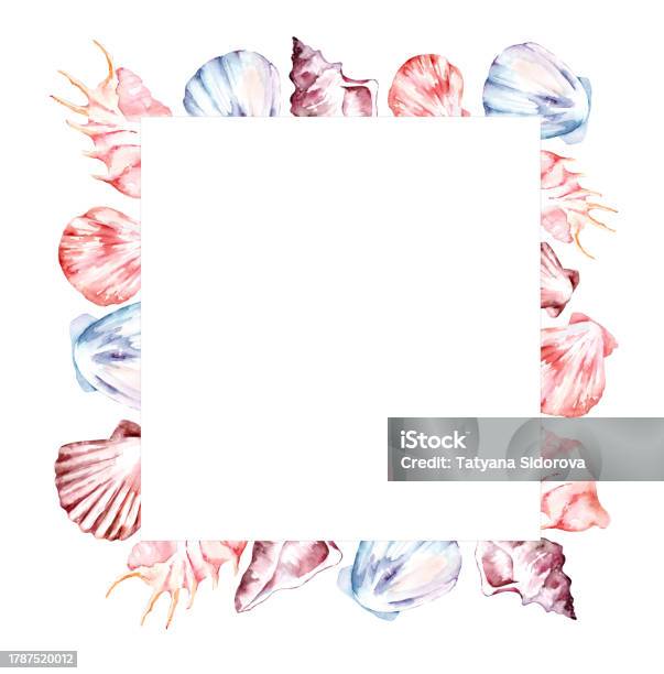 Rectangle Shell Frame Drawing Seashell Rectangular Frame Stock Illustration - Download Image Now ...