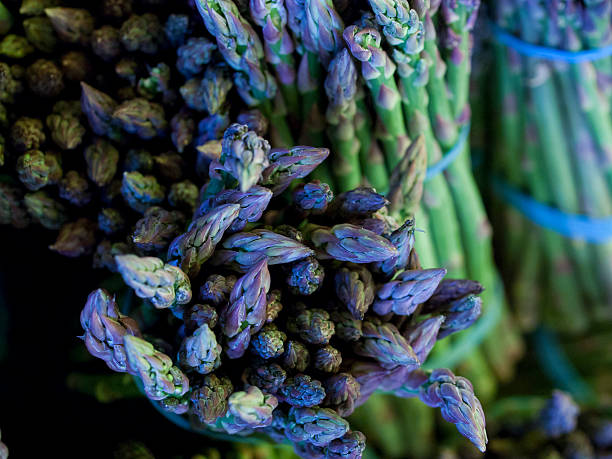 Fresh Vegetables