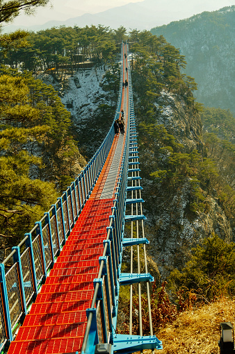 Suspension wooden bridge with steel ropes over a dense forest in West Germany, visible tourists on the bridge in misty weather.