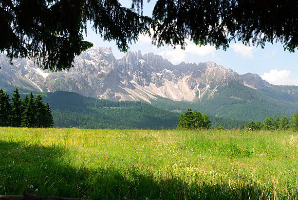 istock Meadow in Trentino 178753340