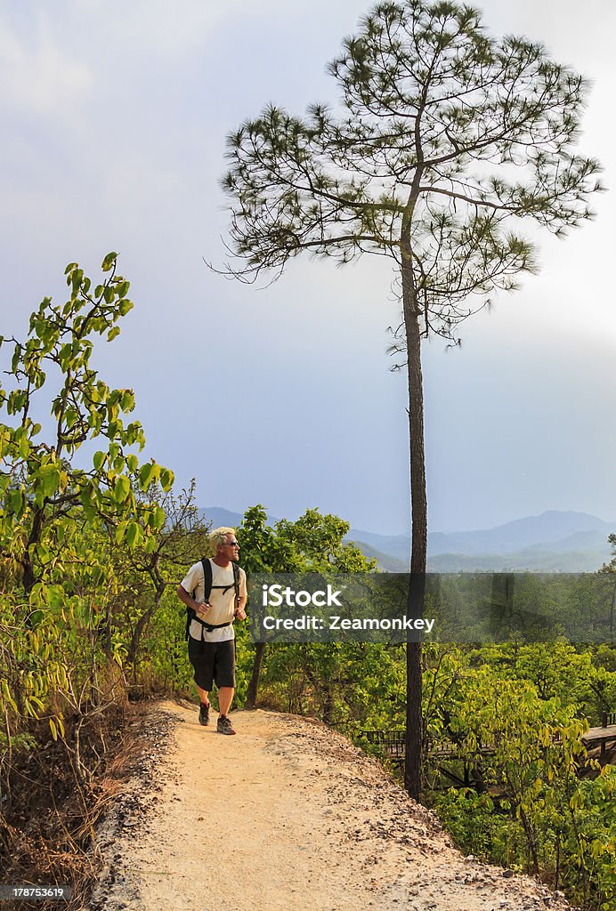 Male hiker in white shirt and backpack walking forest trail Male hiker in white shirt and backpack walking along mountain trail in Pai Canyon, Thailand Active Lifestyle Stock Photo