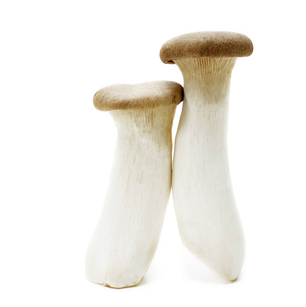 istock Whole fresh king oyster mushrooms 178753778