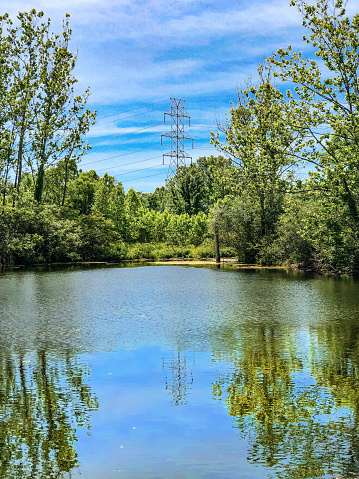 An industrial power line tower is in the distance surrounded by a lush green foliage, a reflective lake and blue cirrus cloud sky.. The scene is from a Stark Metro Park in Canton Ohio