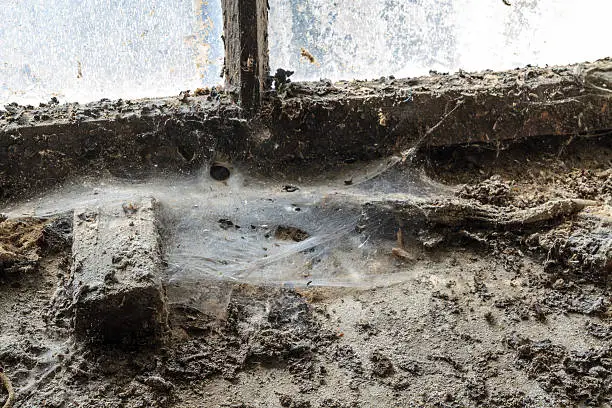 Old window with stains and cobwebs