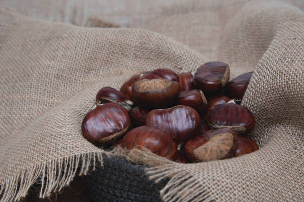 istock Chestnut on a burlap background. Close-up. Selective focus. 1787549139