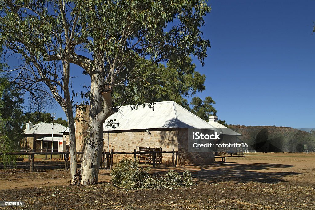 Australia, NT, Alice Springs - Foto stock royalty-free di Albero