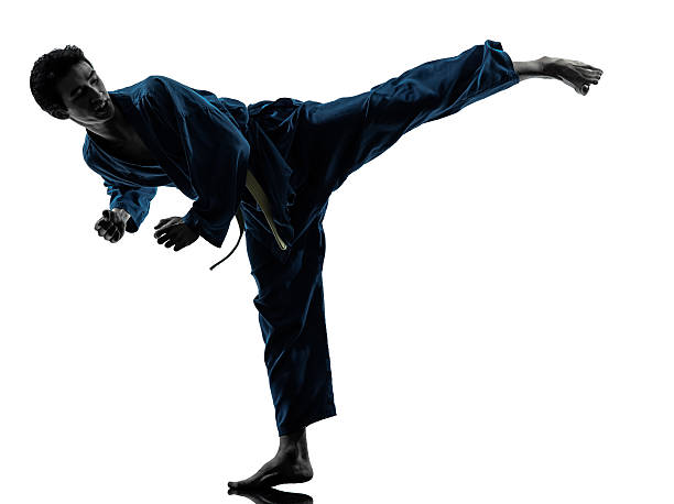 istock karate vietvodao martial arts man silhouette 178755657