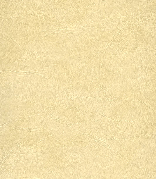 istock texture of skin 178755695