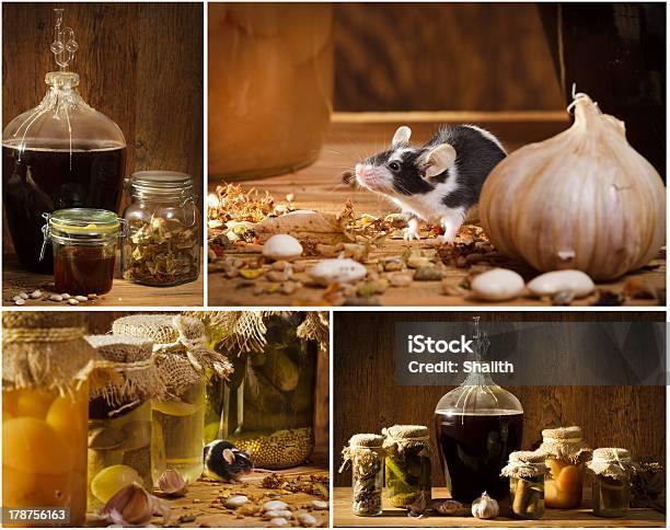 Collage Di Stock Barattolo Di Vetro Al Piano Inferiore Con Piccoli Mouse - Fotografie stock e altre immagini di Aglio - Alliacee