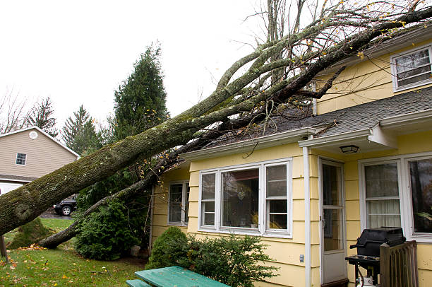 trees fallen on house roof - beschadigd stockfoto's en -beelden