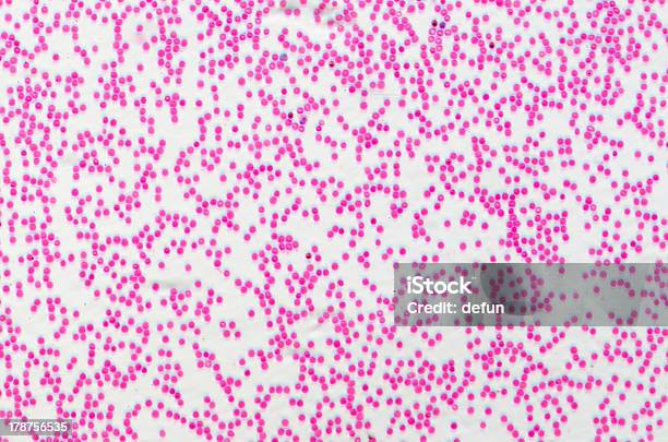 Menschliches Blutkörperchen Stockfoto und mehr Bilder von Bildhintergrund - Bildhintergrund, Biologie, Blut