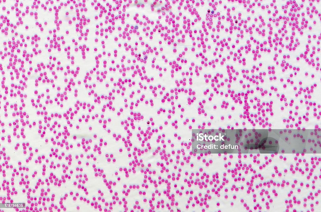 Ludzkie komórki krwi - Zbiór zdjęć royalty-free (Badania)
