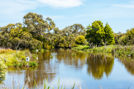 Coolart Wetlands and Homestead in Somers on a hot spring day on the Mornington Peninsula, Victoria, Australia