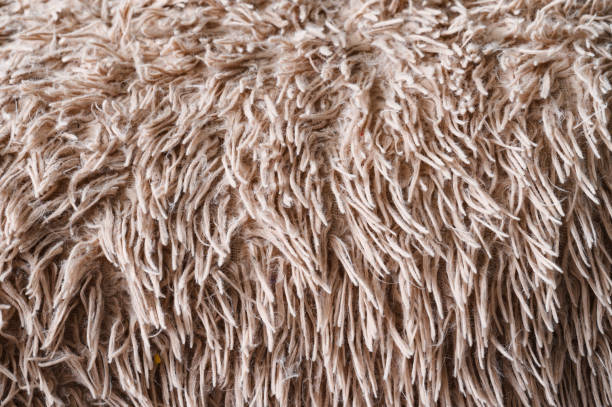 istock Background with long fibers of a blanket 1787567120
