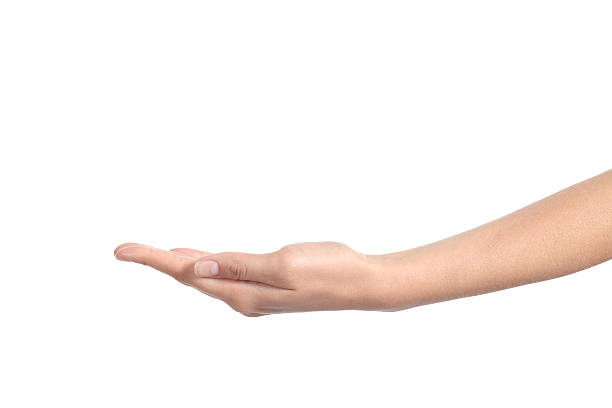 istock Side view of a woman hand with palm up 178757094
