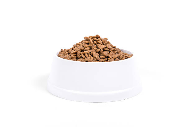 istock Dog dry food in a bowl 178757954