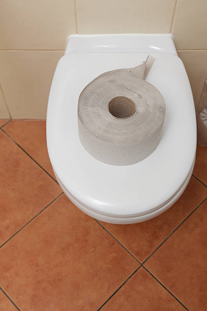 istock toilet paper in bathroom 178758107
