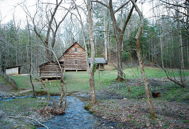 istock Pioneer buildings 178758371
