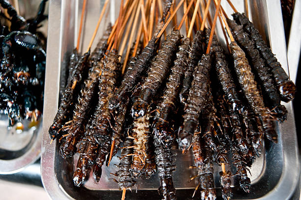 istock Fried insect, China local snacks 178758386