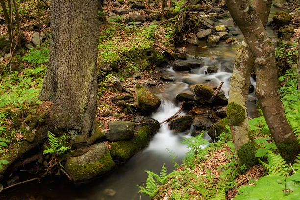 istock Beautiful cascade in Sudety mountains 178759761