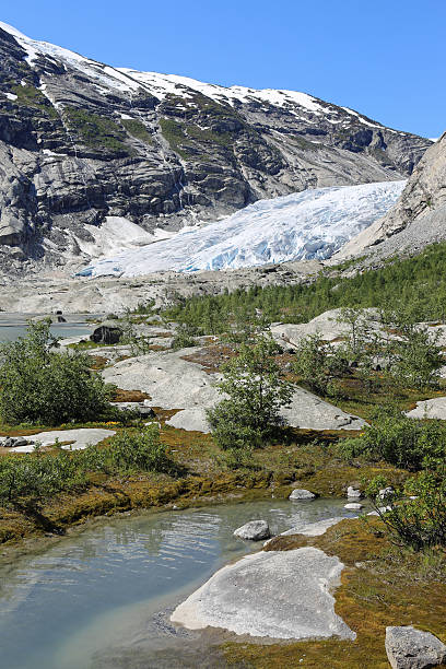 istock Landscape at Nigardsbreen Glacier in Norway 178760920
