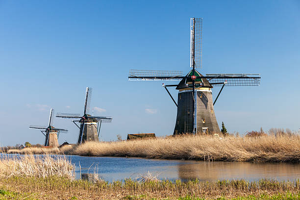 tre mulini a vento vicino leidschendam, paesi bassi - leidschendam foto e immagini stock